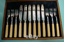 24pc Bone Handle Cutlery Sterling Silver collar Plate knife Fork box set canteen