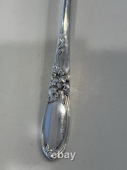 49 Pcs Oneida Community Silverplate White Orchid Service for 8 Plus Extra Pieces 49 Pcs Oneida Community Silverplate White Orchid Service for 8 Plus Extra Pieces