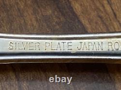 54pc ROSE GARDEN Silverplate Flatware for 8 + 6 Serving in Storage Box VTG Japan
