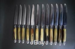 Antique French Louis XVI Style Horn Handle Knife Set of 24 Knives & Carving Set