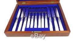 Antique Silver Plated Mother of Pearl Cutlery Set Knives & Forks 24 Pcs Grapes
