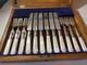 Antique Silverplate Levesley Bros Set 12 Mother Of Pearl Dessert Cutlery w BOX