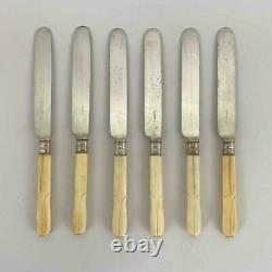 Antique Victorian Gilded Age Silver Plate Bone Handle 24 Pc Fork Knife Set +Case