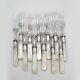 Mother of Pearl 12 Forks Set Silver Plated Tines Sterling Ferrules