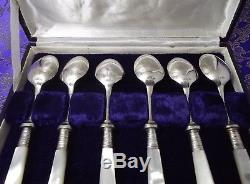 RARE Cased Set of 6 Mother of Pearl Handled Demitasse Spoons 5 1/8 England