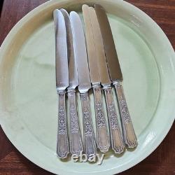 Service for 12 ANCESTRAL 1847 Rogers Bros Silverplate Flatware Set in Case