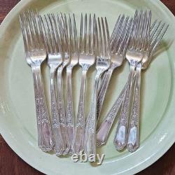 Service for 12 ANCESTRAL 1847 Rogers Bros Silverplate Flatware Set in Case