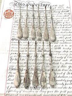 Set of 11 Rare Silverplate Nut Picks Game Squirrel & Bird 1876 E. G. Webster Bro