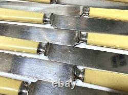 Vintage Meriden Cutlery Co Dinner Knives Set Of 12 Butter French Ivory Celluloid