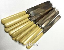 Vintage Meriden Cutlery Co Dinner Knives Set Of 12 Butter French Ivory Celluloid