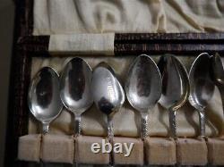 Vintage Set 12 x Apostle SP Tea Spoons With Sugar Tong Boxed c1950