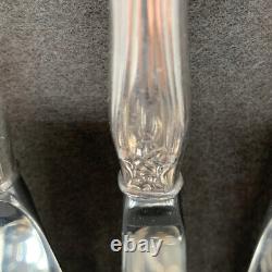 Vntg International Deep Silver 12 Place Setting Serving Spoons Orleans Chest